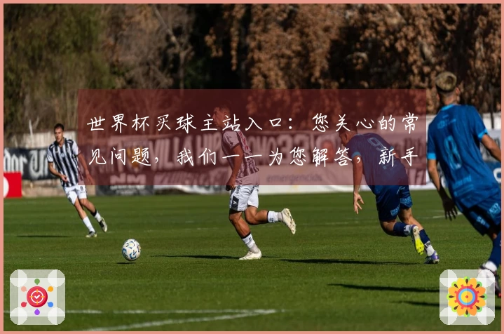 世界杯买球主站入口：您关心的常见问题，我们一一为您解答，新手也能轻松上手