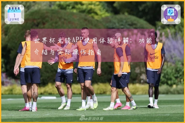 世界杯竞猜APP使用体验详解：功能介绍与实际操作指南