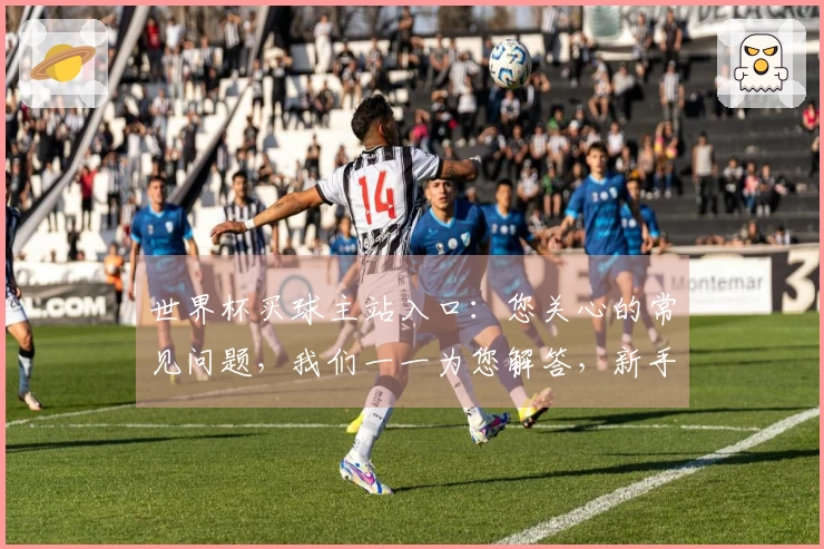 世界杯买球主站入口：您关心的常见问题，我们一一为您解答，新手也能轻松上手