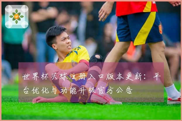 世界杯买球注册入口版本更新：平台优化与功能升级官方公告